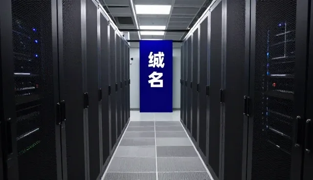域名在系统集成中的实际应用分析